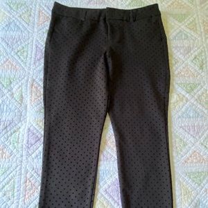 Velvet Dot Old Navy Pixie Pants
